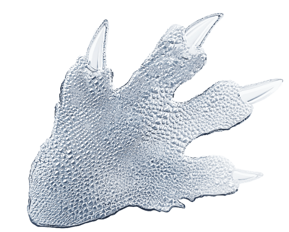 Paw